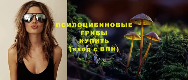 твердый Елизово