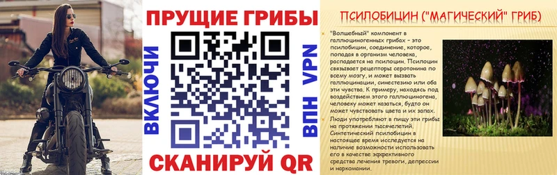 Купить где  Горняк  Галлюциногенные грибы MAGIC MUSHROOMS 