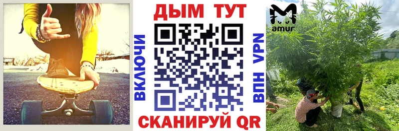 Купить где  Горняк  Конопля White Widow 